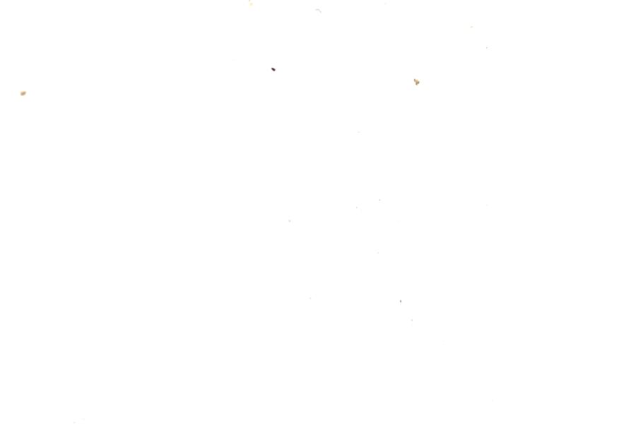 Image 119